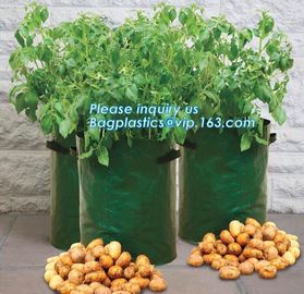 Nine pockets cheap vegetable grow planter bag,china manufacture riptop waterproof nursery bag,planting potato grow bag supplier