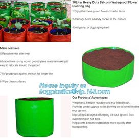 1 gal 2 gal 3gal 5gal 10gal black plastic grow planting greenhouse vegetable nursery bags,garden plant growing bag, bage supplier