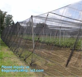 Plastic Anti Bird/Hail/Insect Plants Protection Net for Agriculture,insect repellent net/20x10 Anti Aphid Net/Greenhouse supplier