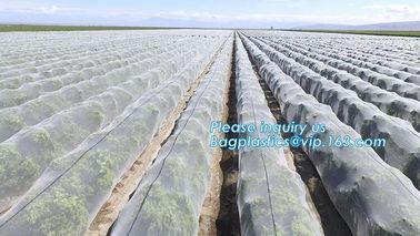 Plastic Anti Bird/Hail/Insect Plants Protection Net for Agriculture,insect repellent net/20x10 Anti Aphid Net/Greenhouse supplier