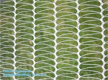 Plastic Anti Bird/Hail/Insect Plants Protection Net for Agriculture,insect repellent net/20x10 Anti Aphid Net/Greenhouse supplier