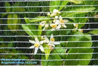 Plastic Anti Bird/Hail/Insect Plants Protection Net for Agriculture,insect repellent net/20x10 Anti Aphid Net/Greenhouse supplier