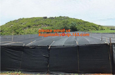 insect repellent net/20x10 Anti Aphid Net/Greenhouse/Agriculture insect proof net,Agricultural Insect Proof Net/Anti Ins supplier