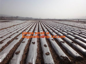 GARDEN GREENHOUSE AGRICULTURAL PLASTIC MULCH FILM, 100% PP/PE Woven Agriculture Ground Cover/Mulch Film/Weed Mat, FILM supplier