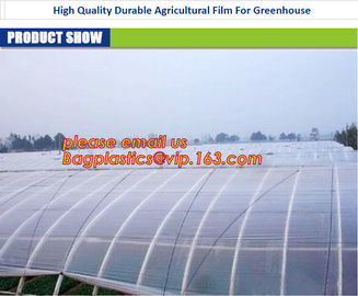 GARDEN GREENHOUSE AGRICULTURAL PLASTIC MULCH FILM, 100% PP/PE Woven Agriculture Ground Cover/Mulch Film/Weed Mat, FILM supplier