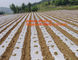 GARDEN GREENHOUSE AGRICULTURAL PLASTIC MULCH FILM, 100% PP/PE Woven Agriculture Ground Cover/Mulch Film/Weed Mat, FILM supplier
