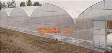 Agriculture silver black plastic mulch film 8 micron,Reflective and Protective White and Black Color Panda Agricultural supplier