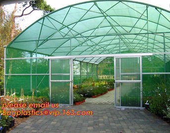 cheap and durable plastic colored anti mosquito netting/window insect screen,Industrial Agricultural Greenhouses use 2m supplier