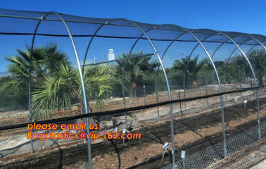 cheap and durable plastic colored anti mosquito netting/window insect screen,Industrial Agricultural Greenhouses use 2m supplier