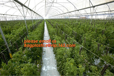 cheap and durable plastic colored anti mosquito netting/window insect screen,Industrial Agricultural Greenhouses use 2m supplier