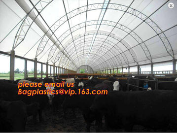 agriculture anti insect net on roll insect proof mesh for greenhouse,Greenhouse Anti Insect Netting /Agriculture Netting supplier