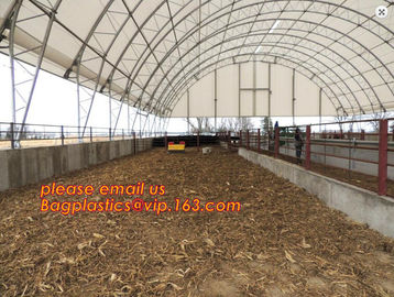 agriculture anti insect net on roll insect proof mesh for greenhouse,Greenhouse Anti Insect Netting /Agriculture Netting supplier