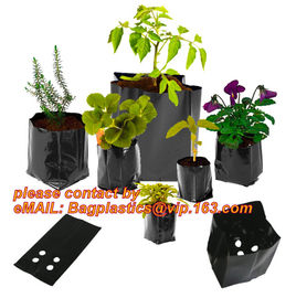 black plastic growing nursery bags,plastic flower pots,black plastic growing bag poly nursery bags,5gallon Plastic nurse supplier