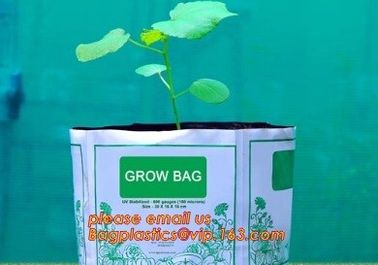 Effective UV Stabilized Black White Plastic Growing Bag / Polyethylene Jumbo Tree Planter Bag,Poly seedling bag 5 gallon supplier