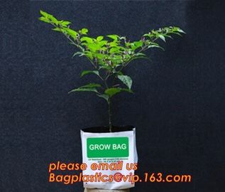 cultivating bags, 100% biodegradable various Wholesale Poly Black Square Garden Plastic Baby Flower Plant Nursery Poly B supplier