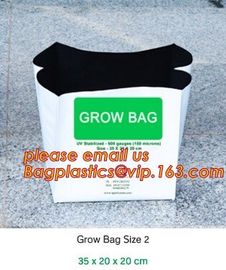 cultivating bags, 100% biodegradable various Wholesale Poly Black Square Garden Plastic Baby Flower Plant Nursery Poly B supplier