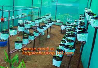 cultivating bags, 100% biodegradable various Wholesale Poly Black Square Garden Plastic Baby Flower Plant Nursery Poly B supplier