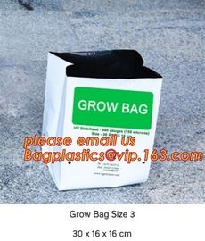 Wholesale Poly Black Square Garden Plastic Baby Flower Plant Nursery Poly Bags for Hydroponics,1gal 2gal 3gal 5gal 7gal supplier