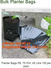 Wholesale Poly Black Square Garden Plastic Baby Flower Plant Nursery Poly Bags for Hydroponics,1gal 2gal 3gal 5gal 7gal supplier