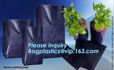 Grow bag, planter bags, nursery bags, agro planting bag, seedling bag, spling bag, custom size, color, bales with logoes supplier