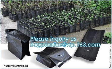 Grow bag, planter bags, nursery bags, agro planting bag, seedling bag, spling bag, custom size, color, bales with logoes supplier