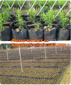 Grow bag, planter bags, nursery bags, agro planting bag, seedling bag, spling bag, custom size, color, bales with logoes supplier