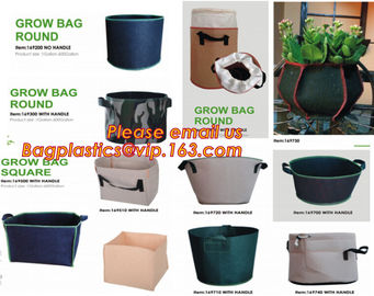 grow bag round, square grow bag, round grow bag, root control bag non woven planting green grow bags, port, cans,tray pa supplier