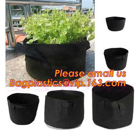 fabric pots grow bag felt garden bag with handle,Hydroponic Grow Bag 1 Gallon Containers With Handle,Eco-friendly High q supplier