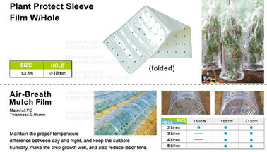 Mulch film,plant protect sleeve film w/hole,air-breath mulch film,silver,black, green,mulch film, pull-off hole,ldpe+lld supplier