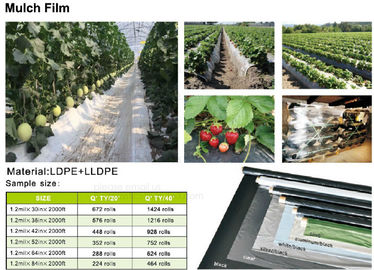 Mulch film,plant protect sleeve film w/hole,air-breath mulch film,silver,black, green,mulch film, pull-off hole,ldpe+lld supplier