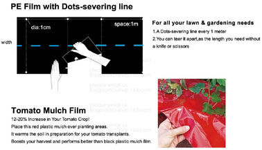 Perorated weed barrier,mulch film with hole,pe film with dots-servering line,tomato mulch film,plastic nail,fasten sheet supplier