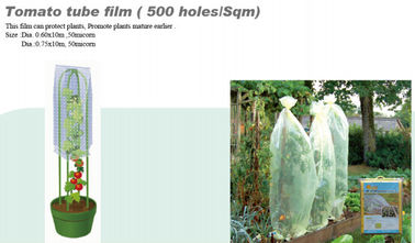 PP NONWOVEN FABRC, WINTER COVER,MICRO-PERFORATED FILM,TOMATO TUBE FILM,GREEN FILM,MULCH FILM,REFLECT FILM,BIODEGRADABLE supplier