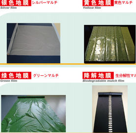 PP NONWOVEN FABRC, WINTER COVER,MICRO-PERFORATED FILM,TOMATO TUBE FILM,GREEN FILM,MULCH FILM,REFLECT FILM,BIODEGRADABLE supplier