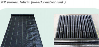 FILM IN BIG ROLL,NON-SLIPPING FILM,PP WOVEN FABRIC WEED CONTROL MAT,BUILDING FILM,COVER FILM, COMPOSTABLE, BIODEGRADABLE supplier
