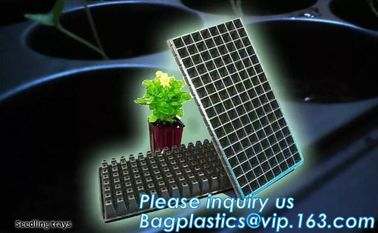 plastic plant vegetable nursery high quality seedling trays wholesale,98/105/128 cell holes vegetable plant seedling pla supplier