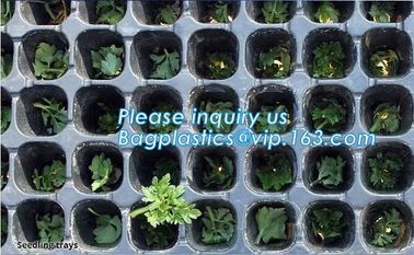 plastic plant vegetable nursery high quality seedling trays wholesale,98/105/128 cell holes vegetable plant seedling pla supplier