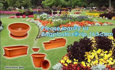 plastic pots for nursery plants clear orchid pots photo,1, 2, 2.5, 3, 5, 7, 10 gallon nursery plastic flower pot,plantin supplier