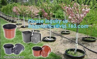 plastic pots for nursery plants clear orchid pots photo,1, 2, 2.5, 3, 5, 7, 10 gallon nursery plastic flower pot,plantin supplier