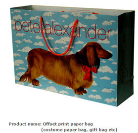 Luxury Paper Gift Bags Paper Carrier Bag Party Bag with Handles,Low Cost Ribbon Handle Gift Carrier Custom Made Design L supplier