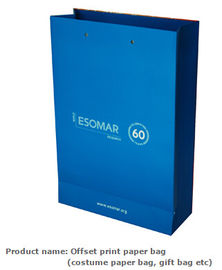 Luxury Paper Gift Bags Paper Carrier Bag Party Bag with Handles,Low Cost Ribbon Handle Gift Carrier Custom Made Design L supplier