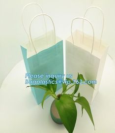 Luxury paper bags with handles Different Sizes,250gsm art paper shopping carrier bag custom printing with handle rope supplier