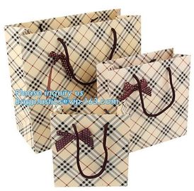 Paper carrier bags for fashion shopping paper carton bag High quality luxury design bag,Custom design logo lipstick kraf supplier