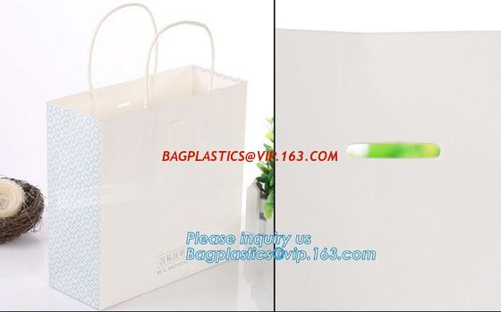 Hot Selling Recycle Glossy Printing Shopping Paper Gift Bag For Cosmetic, Custom Design Carry Bags,Shopping Paper Carrie supplier