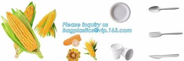 SUGARCANE CUPS PLATE BOWL CONTAINERS, ECO FRIENDLY BIOGERADABLE CULTERY, PLA TRAY, STARCH BASED PRODUCTS compostable supplier