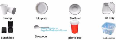 SUGARCANE CUPS PLATE BOWL CONTAINERS, ECO FRIENDLY BIOGERADABLE CULTERY, PLA TRAY, STARCH BASED PRODUCTS compostable supplier