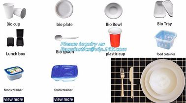 SUGARCANE CUPS PLATE BOWL CONTAINERS, ECO FRIENDLY BIOGERADABLE CULTERY, PLA TRAY, STARCH BASED PRODUCTS compostable supplier