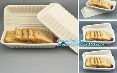 SUGARCANE CUPS PLATE BOWL CONTAINERS, PLA FOOD TRAY, CULTERY, STRAW, ECO FRIENDLY BIOGERADABLE COMPOSTABLE BAGEASE PACKA supplier