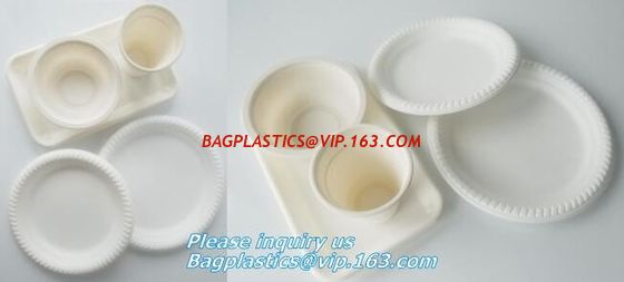 SUGARCANE BAGASSE PLA DINNERWARE BIO ECO TABLEWARE, CUP PLATE BOWL CONTAINER,PLA DISH TRAY, CULTERY BAGPLASTICS BAGEASE supplier