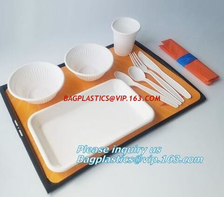 SUGARCANE BAGASSE PLA DINNERWARE BIO ECO TABLEWARE, CUP PLATE BOWL CONTAINER,PLA DISH TRAY, CULTERY BAGPLASTICS BAGEASE supplier