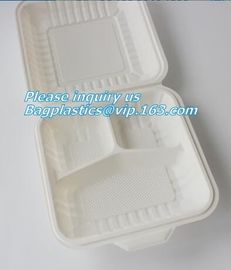 100% Biodegradable sugarcane pulp Lunch disposable Box bagasse food container disposable clamshell lunch box bagease pac supplier